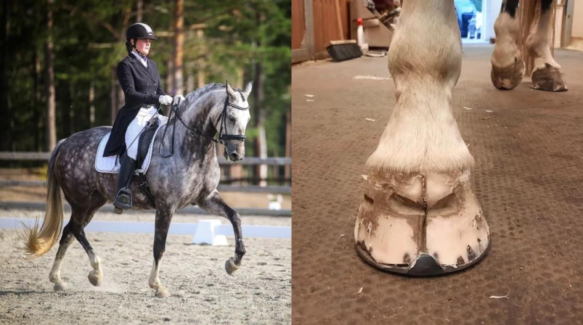 Till vänster är Chawanya med ägare och uppfödare Marie Kringsjaa. Foto: Maren Tranget Antonsen och Privat