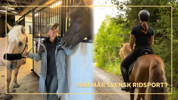Foto: Privat/Adobe Stock