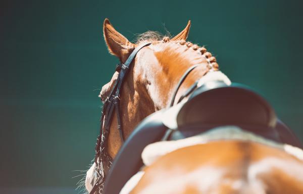 Arkivfoto: Adobe Stock