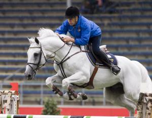 Cardento är en av de återkommande hingstarna bland topphästarna. Foto: Bildbyrån/Björn Tilly