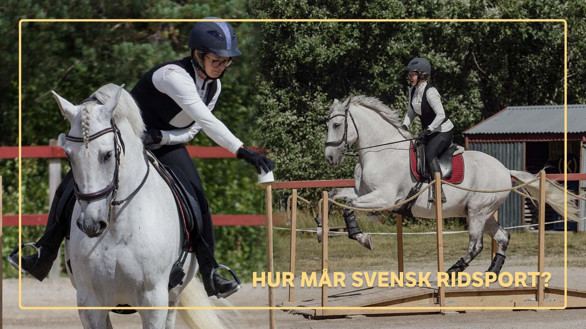 Foto: privat & FotografMira
