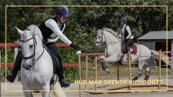 Foto: privat & FotografMira