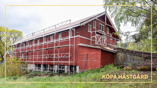 Att äga hästgård innebär mer än kostnaden för själva köpet. Drift, under- håll och framtida investeringar behöver också finnas med i kalkylen. Foto: Adobe Stock
