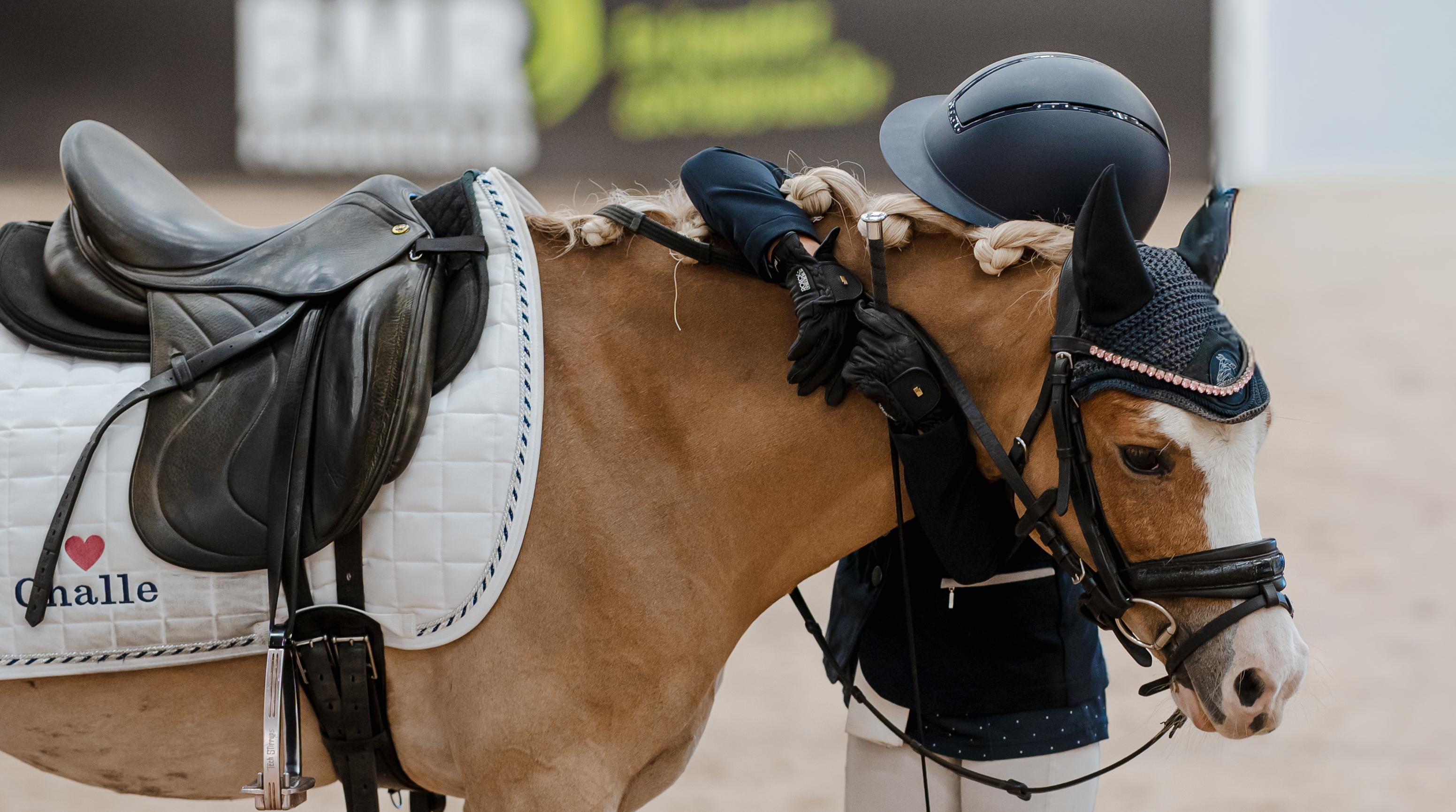 Pressfoto: Jönköping Horse Show