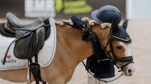 Pressfoto: Jönköping Horse Show