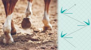 Arkivfoto: Adobe Stock