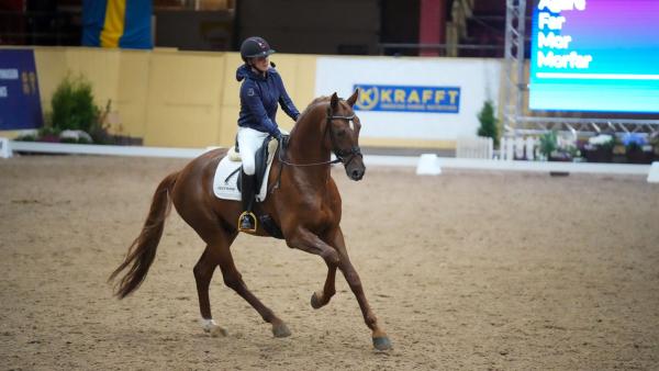 Rosebank VH med Cathrine Laudrup-Dufour som testryttare under Breeders 2022. Foto: Kim C Lundin 