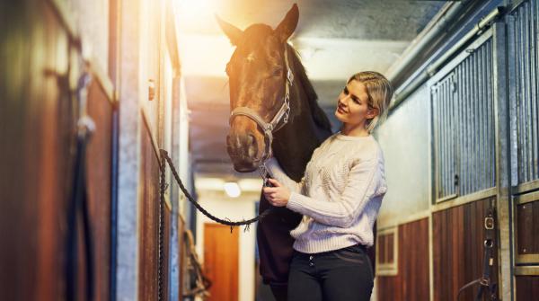 Arkivfoto: Adobe Stock