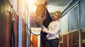 Arkivfoto: Adobe Stock
