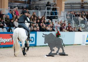 Foto: Vilma Stenroos/Jönköping Horse Show