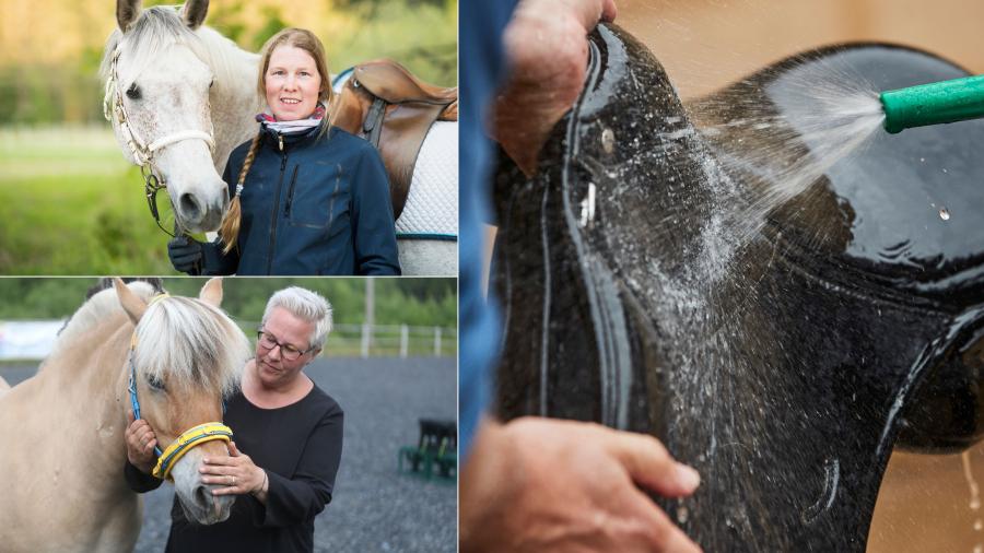 Fem röster om alternativ till läder