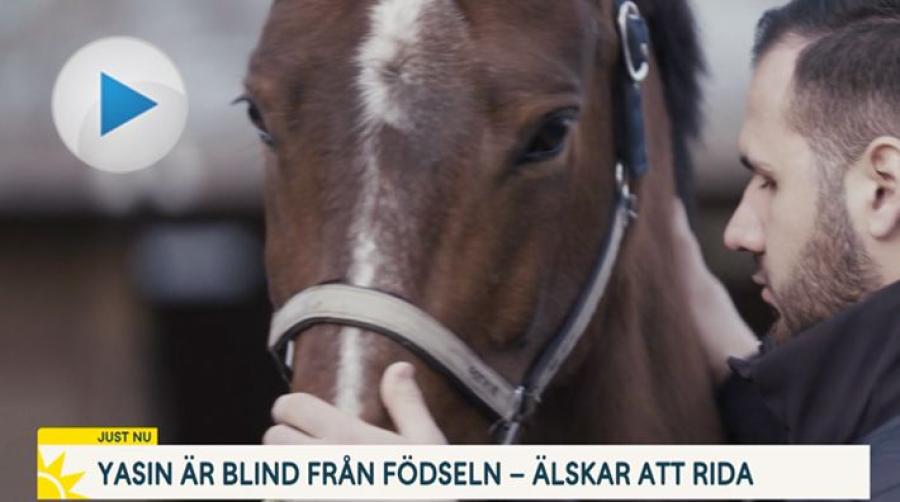 Foto: TV4 Nyhetsmorgon