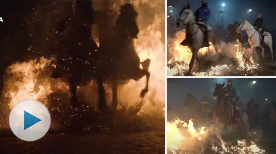 Ett hundratal hästar rids varje år genom öppen eld under festivalen Las Luminarias i San Bartolomé de Pinares, Spanien.
