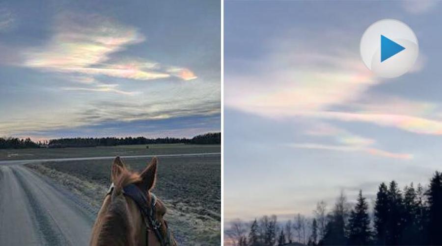 Pärlemormoln upplevda från hästryggen