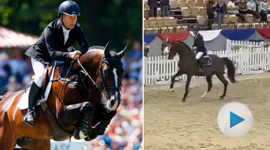 Casall har en framgångsrik tävlingskarriär bakom sig med Rolf-Göran Bengtsson i sadeln. Trots sina 24 år sitter takterna i än i dag.