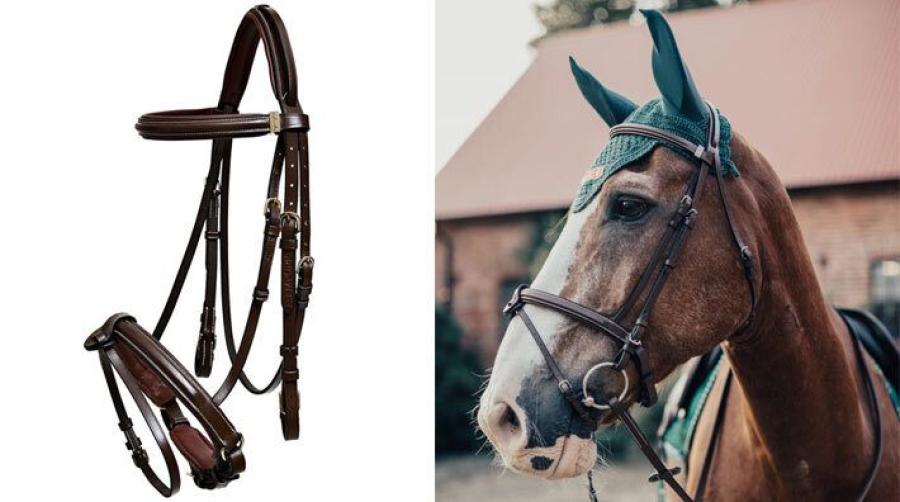 Tävling: Vinn ett träns från Equipe Saddles
