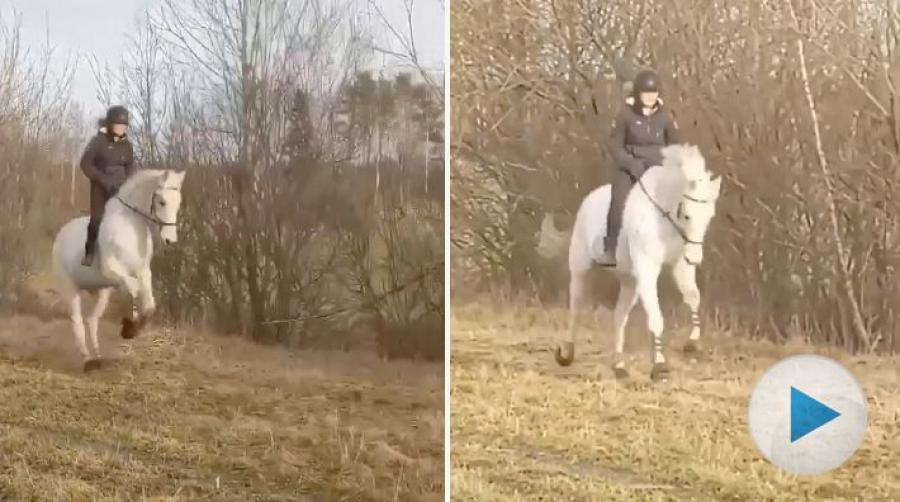 Emilia Sindt har haft "världens bästa Bosse" som foderhäst. Här tar de en sista galopp på fältet, innan Bosse ska hem till sin ägare.