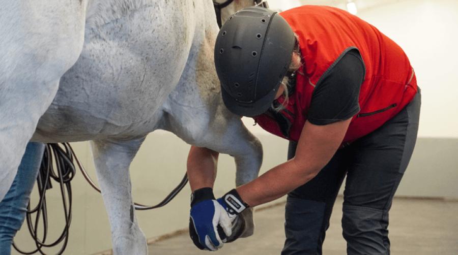 En allmänpraktiker har en extremt bred kunskap