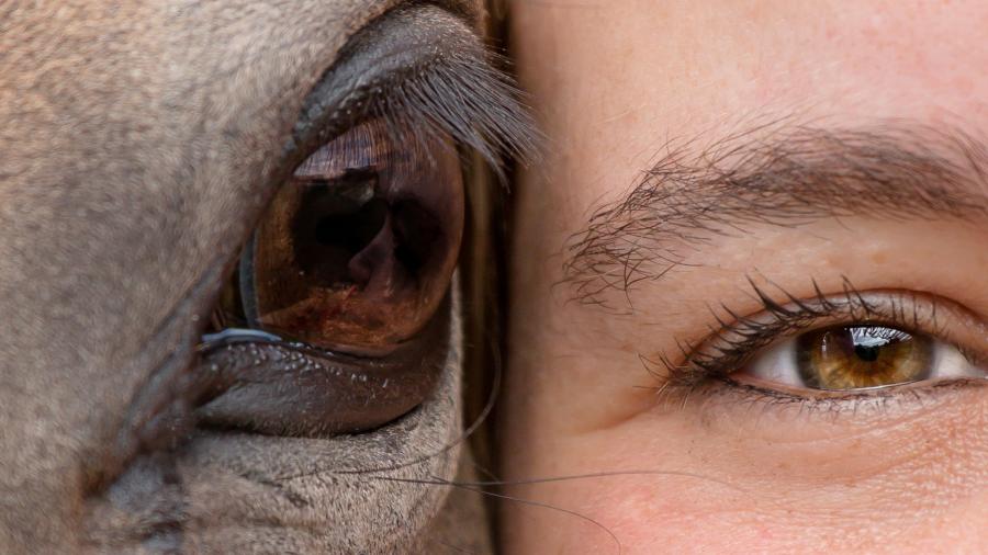 Det visade forskningen 2022