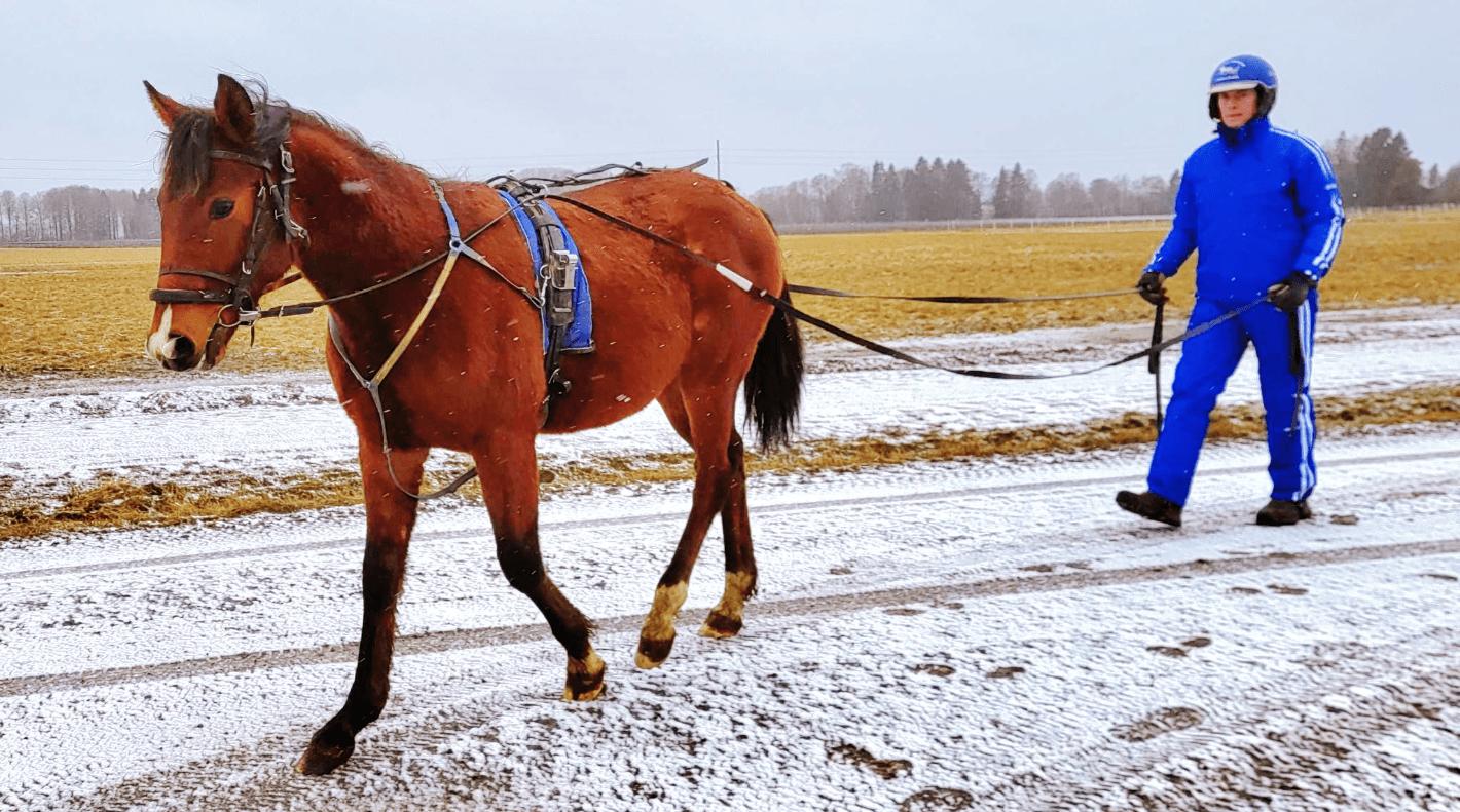 Han har 70 hästar på sin träningslista