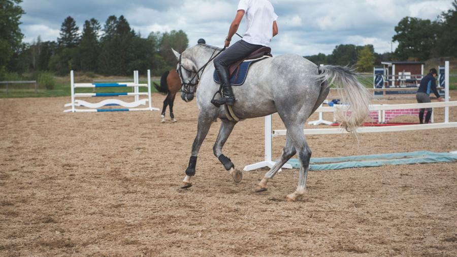 Så anlägger du en ridbana