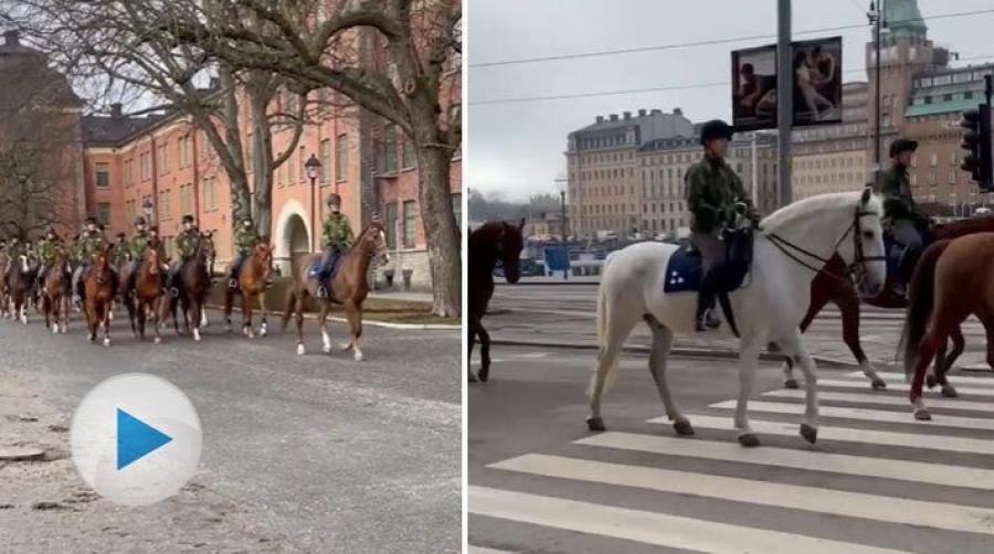 Nyligen var det dags för hästarna från den Beridna högvakten att genomföra en övning genom Stockholm stad. Såg du dem kanske på plats?