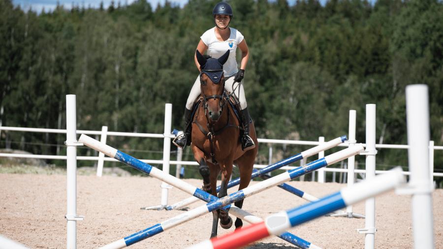Rakriktning med Sissela Smith