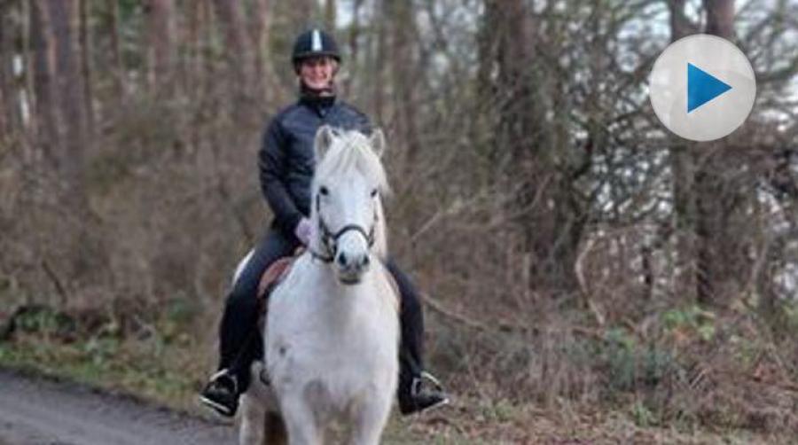 Stoet Juni rör sig som en get