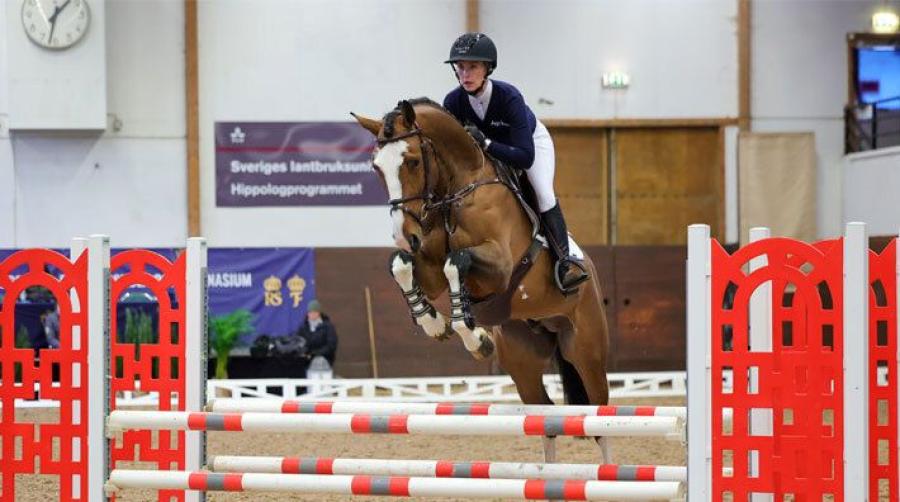 Foto: Pernilla Hägg
