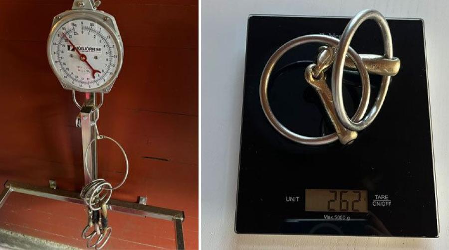 Viktgräns införs för bett på tävling