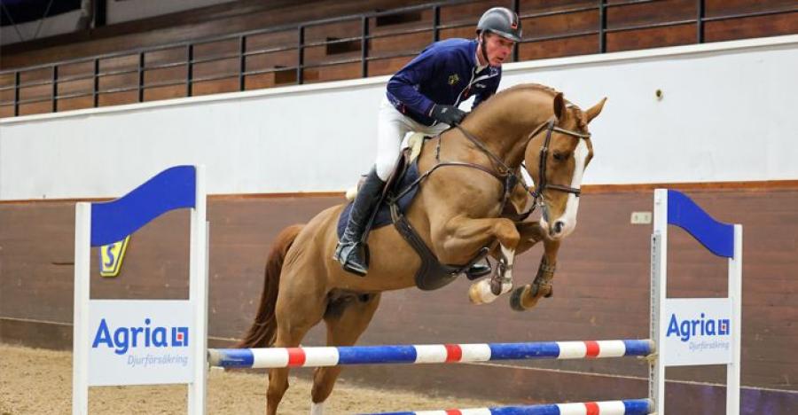 Chaccafly CL blev årets bruksprovsvinnare i hoppning. Foto: Pernilla Hägg
