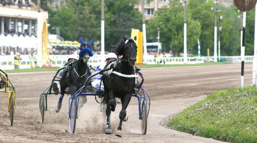 Genrebild: Adobe Stock