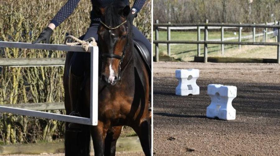 Att öppna och stänga en grind, rida över en bro eller rida mellan tunnor och koner är exempel på övningar inom WE. Arkivfoto: Linnea Lindahl