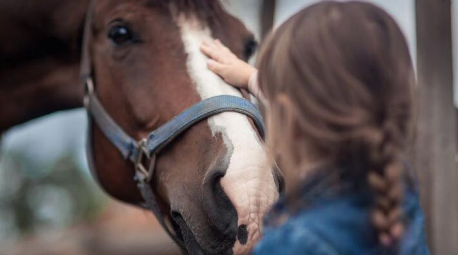 Foto: Adobe Stock