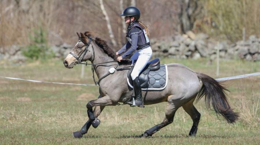 26-åriga Rinroe Rock It segrare i Vinslöv