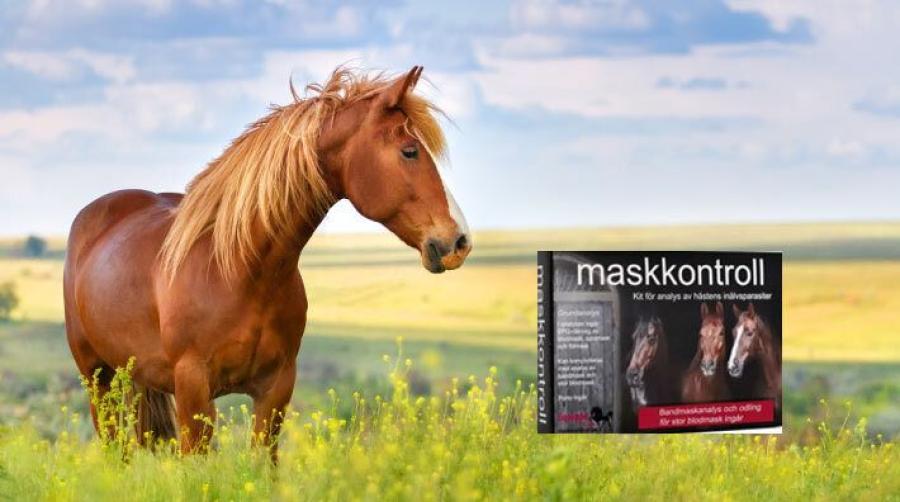Foto: Adobe Stock