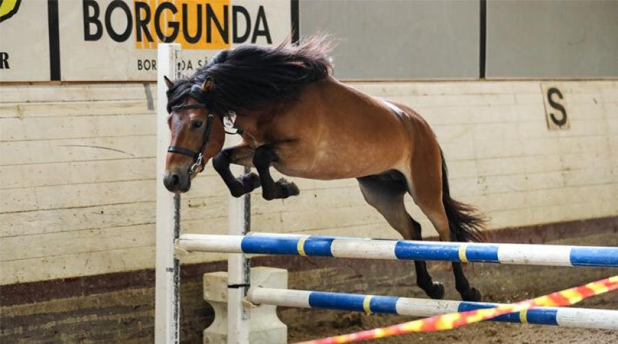 Foto: Pernilla Hägg