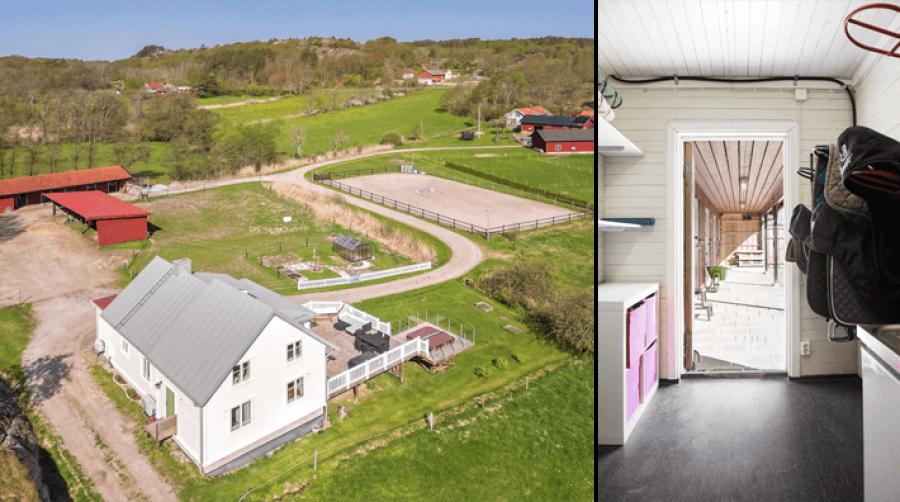 Charmfull hästgård på Tjörn
