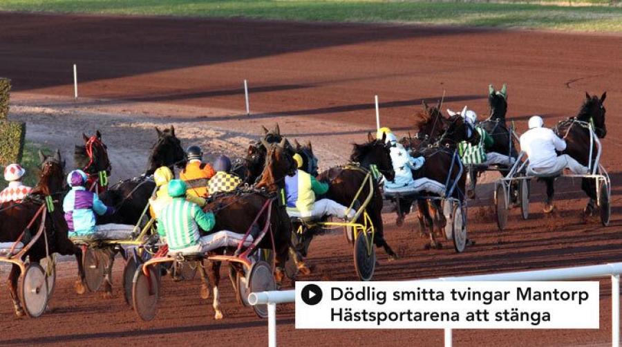 EHV-1 på Mantorp hästsportarena
