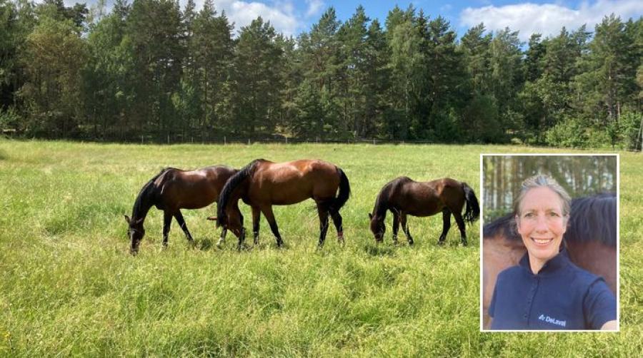 Få koll på sommarhagens staket