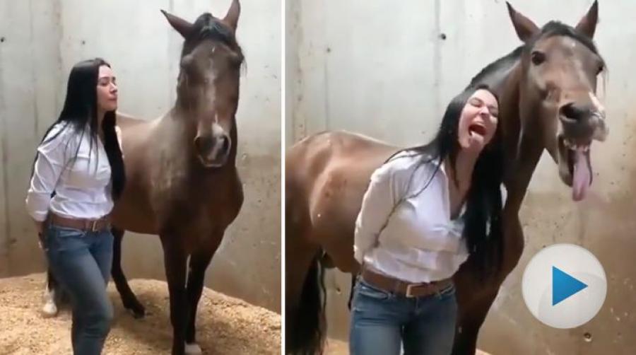 När kvinnan sträcker ut tungan vet hästen precis vad den ska göra. Har du och din häst några tricks att visa när kameran kommer fram?