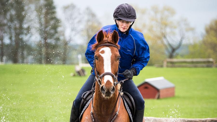 »Talang är hästens genetiska bagage«