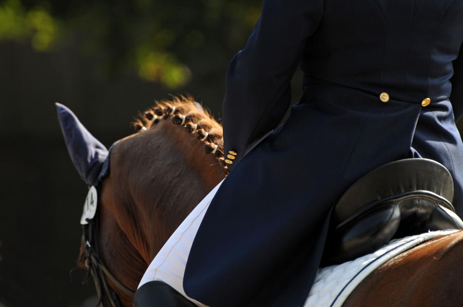Foto: AdobeStock 