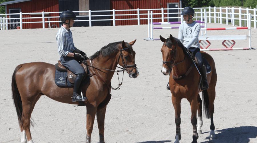 DeVi Stable – ungt par som siktar högt