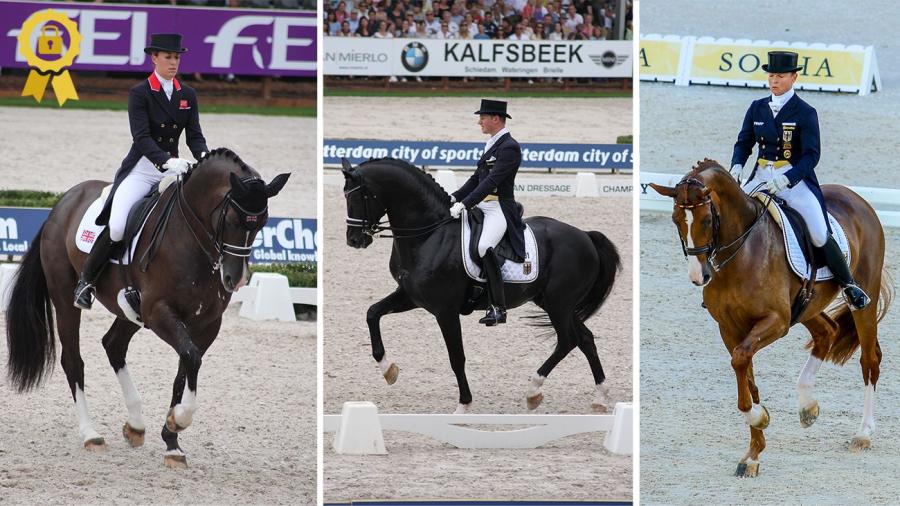 I Hippsons serie om dressyrens utveckling resonerar fyra experter om hur olika aspekter förändrats. Christoph Hess ger här sin syn på dressyrens utveckling.