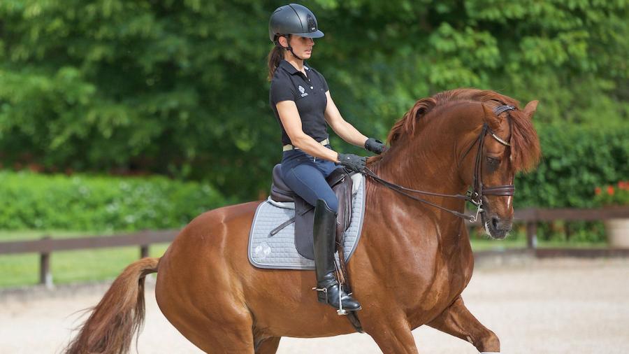 Piruettens ABC med Caroline Darcourt