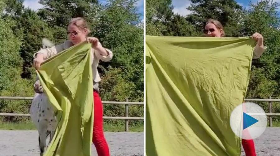 Sara och Kiwi firar sommaren med att "trolla bort" en hel ponny. Närmare bestämt ponnyn Esprit. Se hur det går i klippet.
