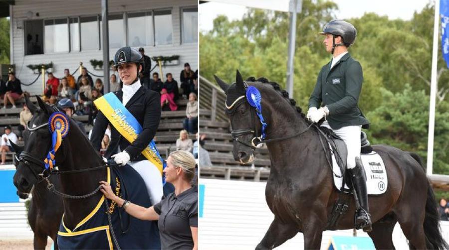 Carl Hedin och Skyline bästa svenska ekipage – dansk seger i femårsfinalen