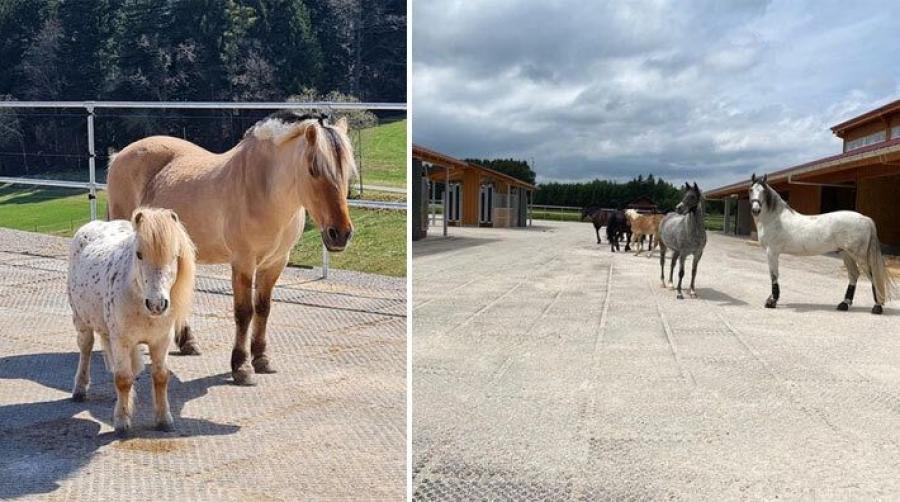 Tävling: Vinn mattor för torra ytor i hagen