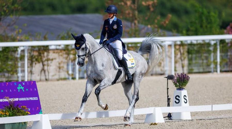 Lina Forsberg och Kaizen.